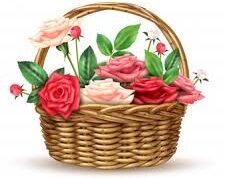 Floragalaxy