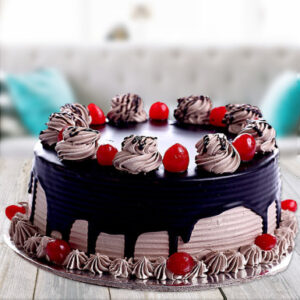 Gourmet Coffee Chocolate Cake