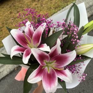 Luxury Pink Liliy With White Stain