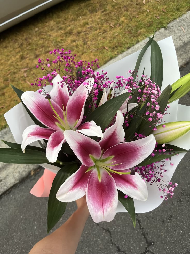 Luxury Pink Liliy With White Stain