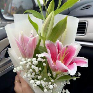 Pink Oriental Lilies