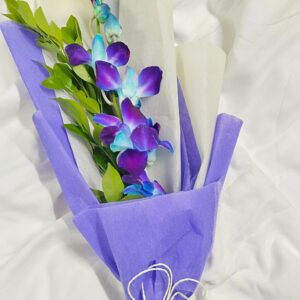 Blissful Blue Orchid