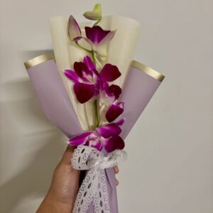 Vibrant Purple Orchid